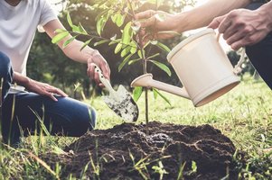 Naturschutz im eigenen Garten