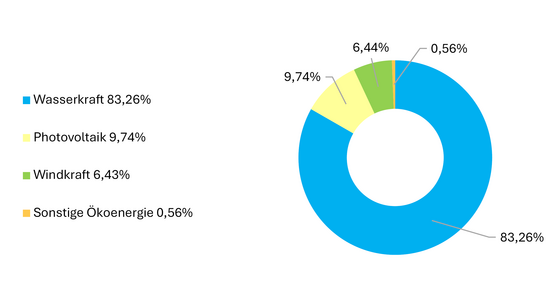 Stromherkunft Wels Strom 2024 Stromherkunft Wels Strom 2024