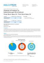 Preisblatt Traun Strom Profi