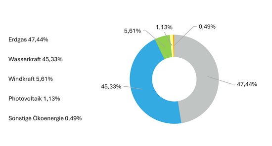 Stromherkunft Wels Strom Business 2024 Stromherkunft Wels Strom Business 2024